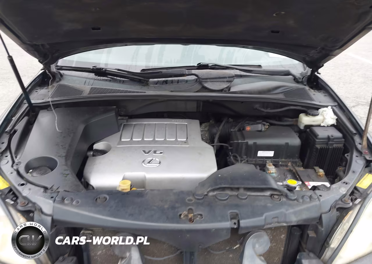 2007 Lexus Rx 350 VIN:2T2HK31U47C034129 - 10