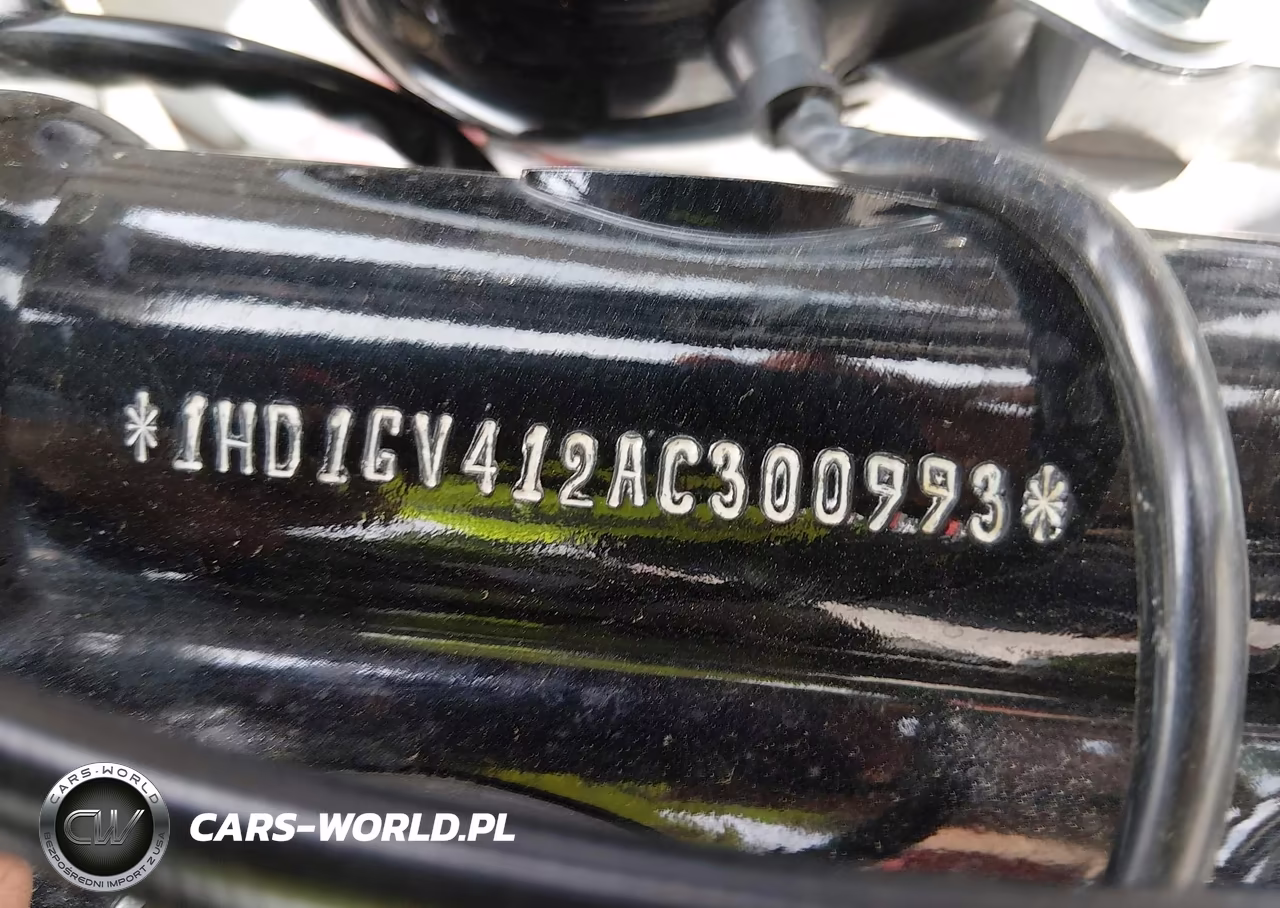 2010 Harley-Davidson Fxdc VIN:1HD1GV412AC300993 - 10