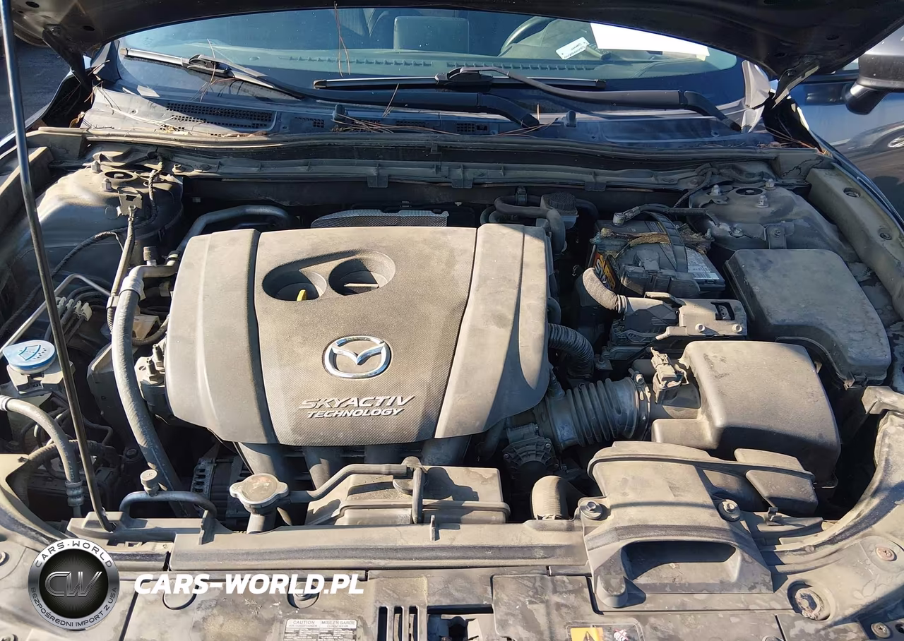 2016 Mazda Mazda3 I Sport VIN:JM1BM1T76G1283259 - 10