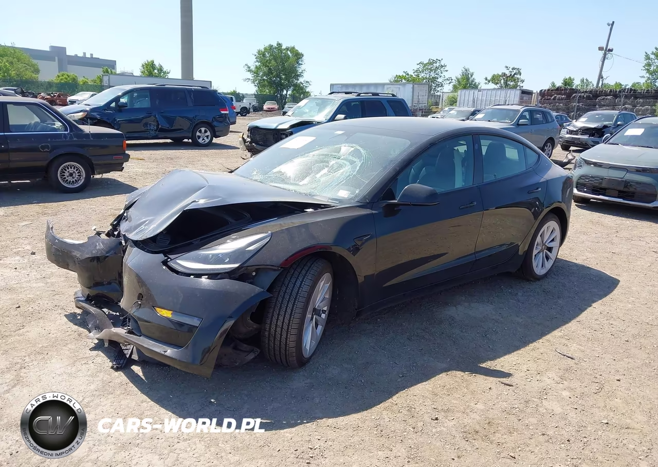 2023 Tesla Model 3 Rear-Wheel Drive VIN:5YJ3E1EA1PF451858 - 2