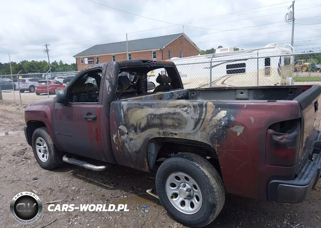 2009 Chevrolet Silverado 1500 Work Truck VIN:1GCEK14X99Z217780 - 11