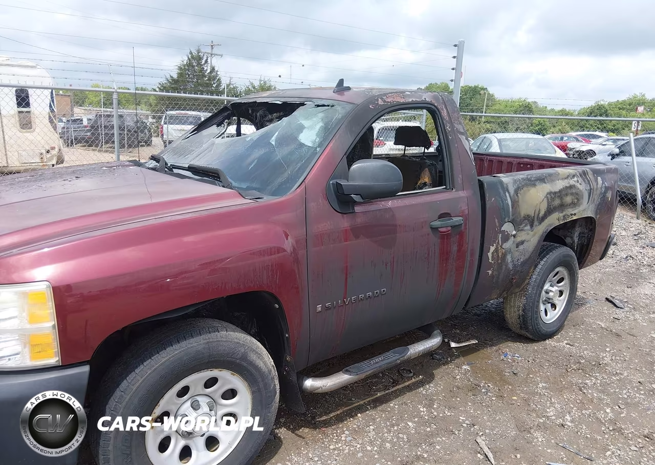 2009 Chevrolet Silverado 1500 Work Truck VIN:1GCEK14X99Z217780 - 12