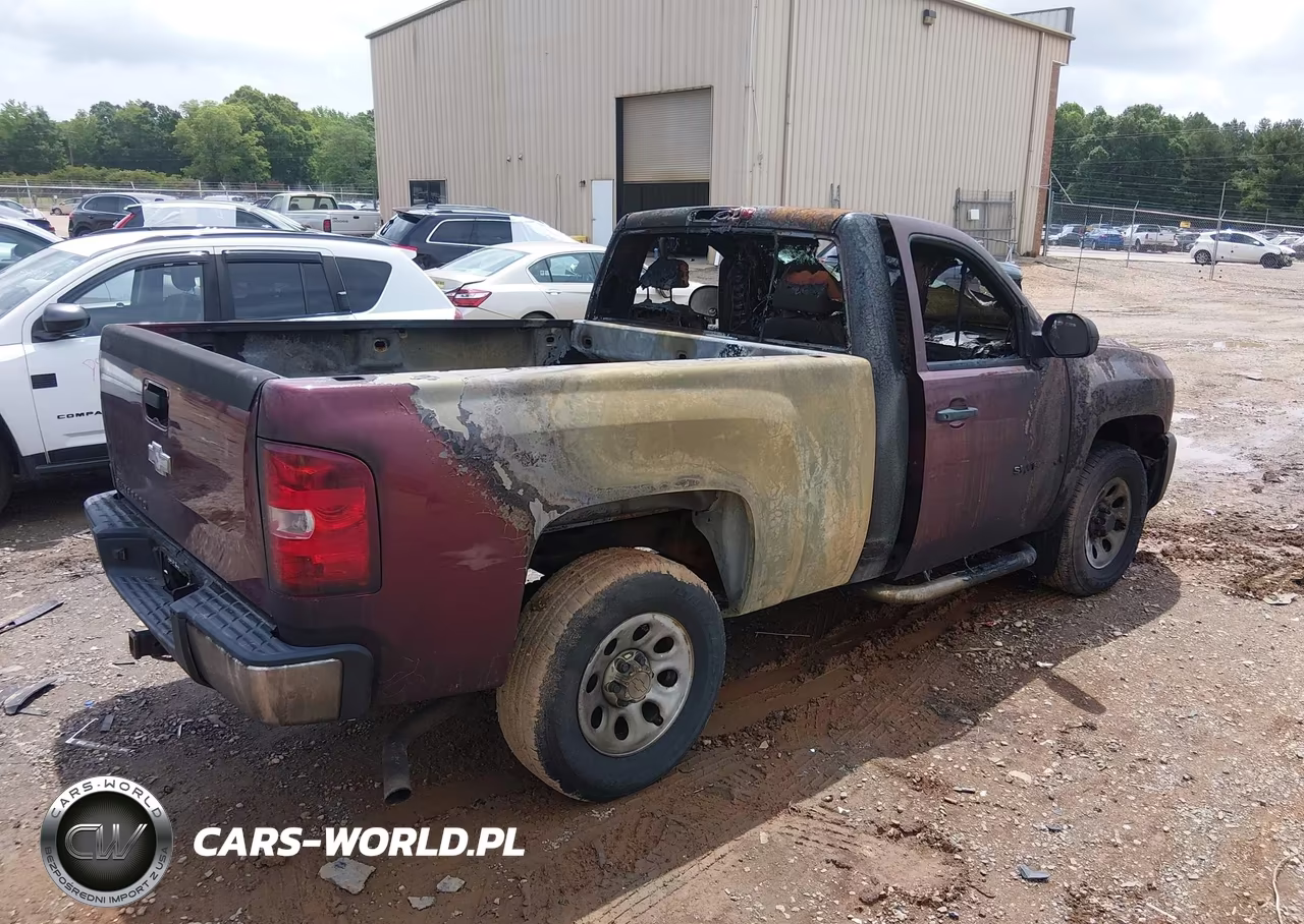 2009 Chevrolet Silverado 1500 Work Truck VIN:1GCEK14X99Z217780 - 4