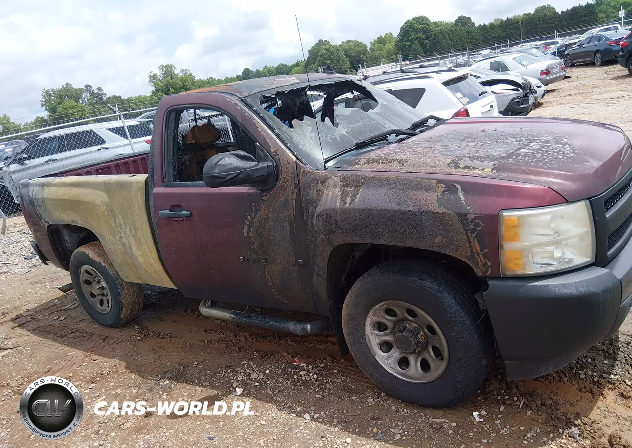 2009 Chevrolet Silverado 1500 Work Truck VIN:1GCEK14X99Z217780 - 6
