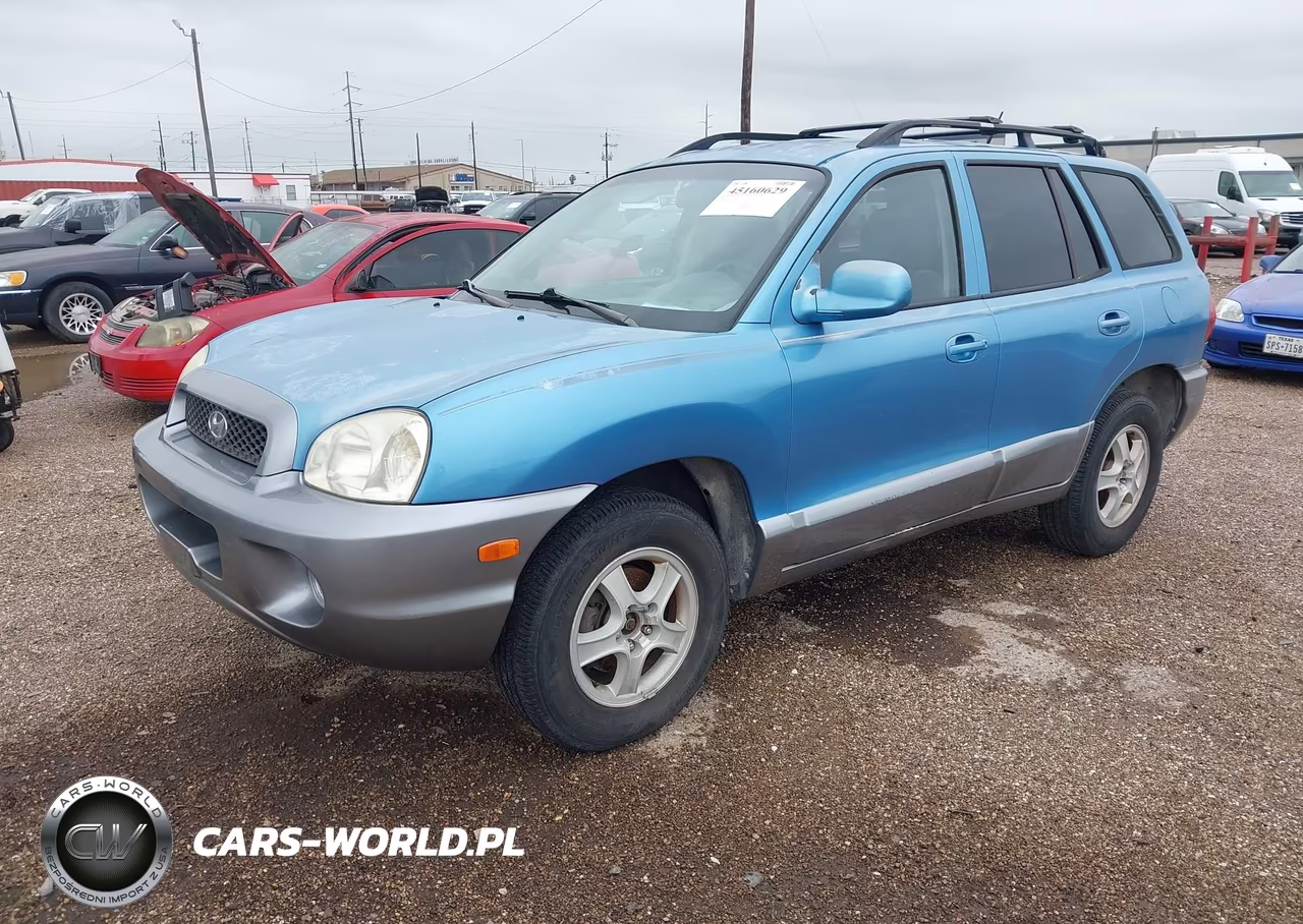 2004 Hyundai Santa Fe Gls VIN:KM8SC13D84U780845 - 2