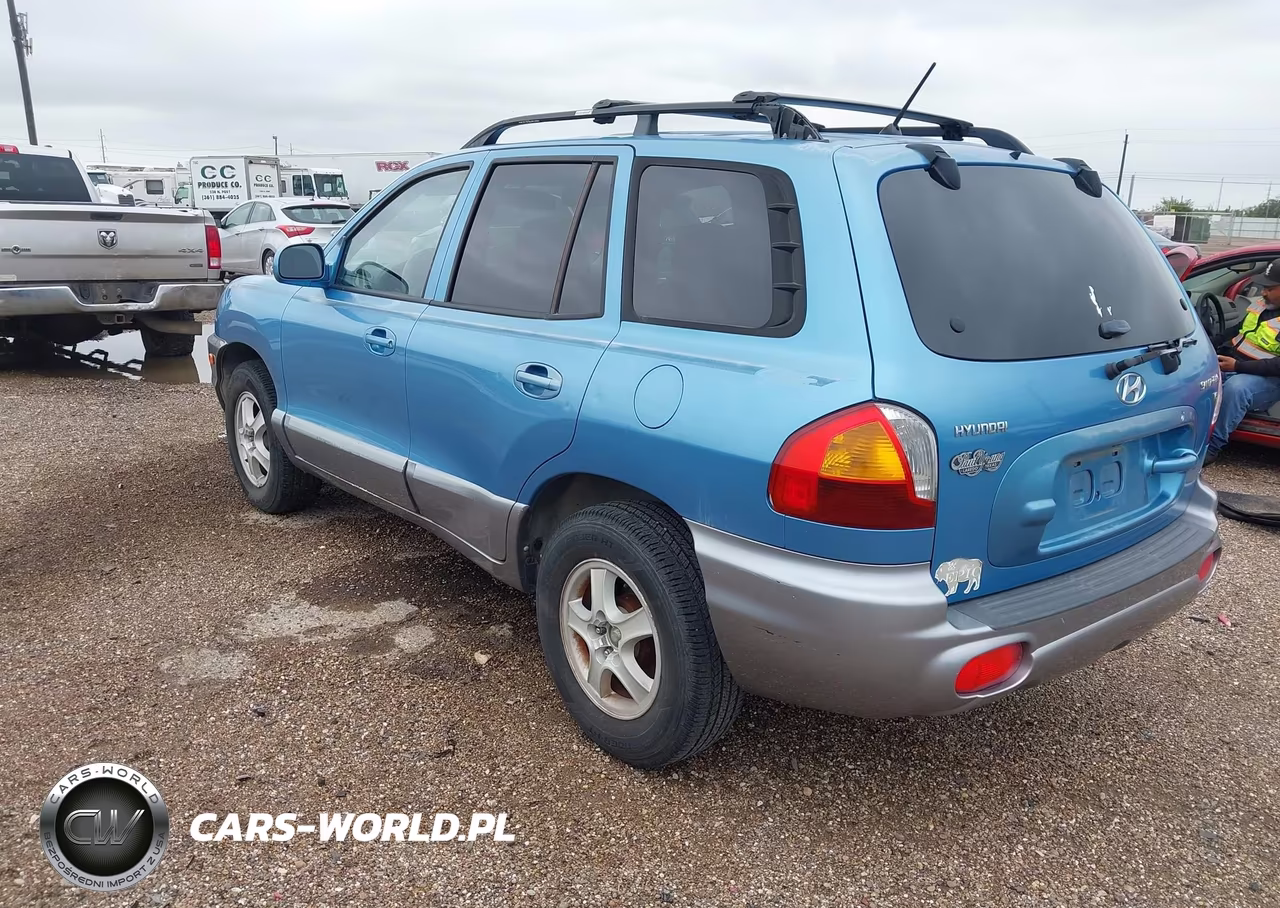 2004 Hyundai Santa Fe Gls VIN:KM8SC13D84U780845 - 3