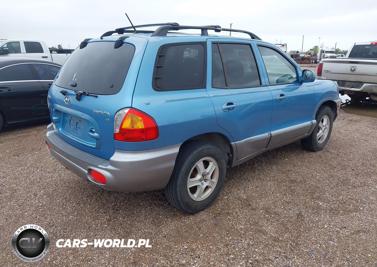 2004 Hyundai Santa Fe Gls VIN:KM8SC13D84U780845 - 4