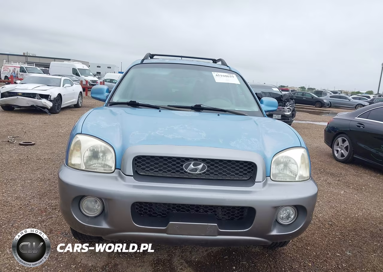 2004 Hyundai Santa Fe Gls VIN:KM8SC13D84U780845 - 6