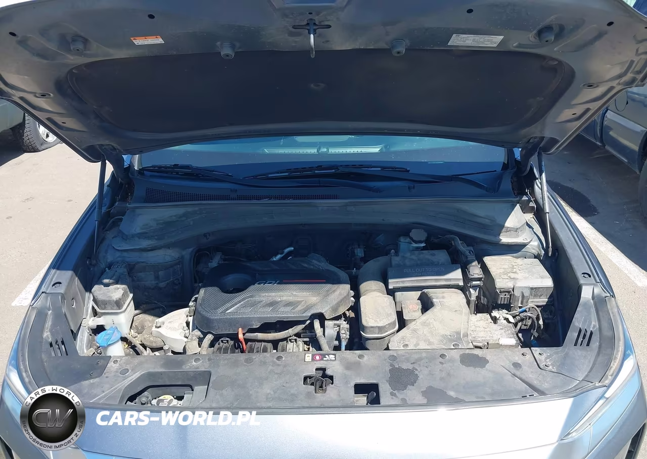 2020 Hyundai Santa Fe Sel VIN:5NMS3CAD6LH146961 - 10