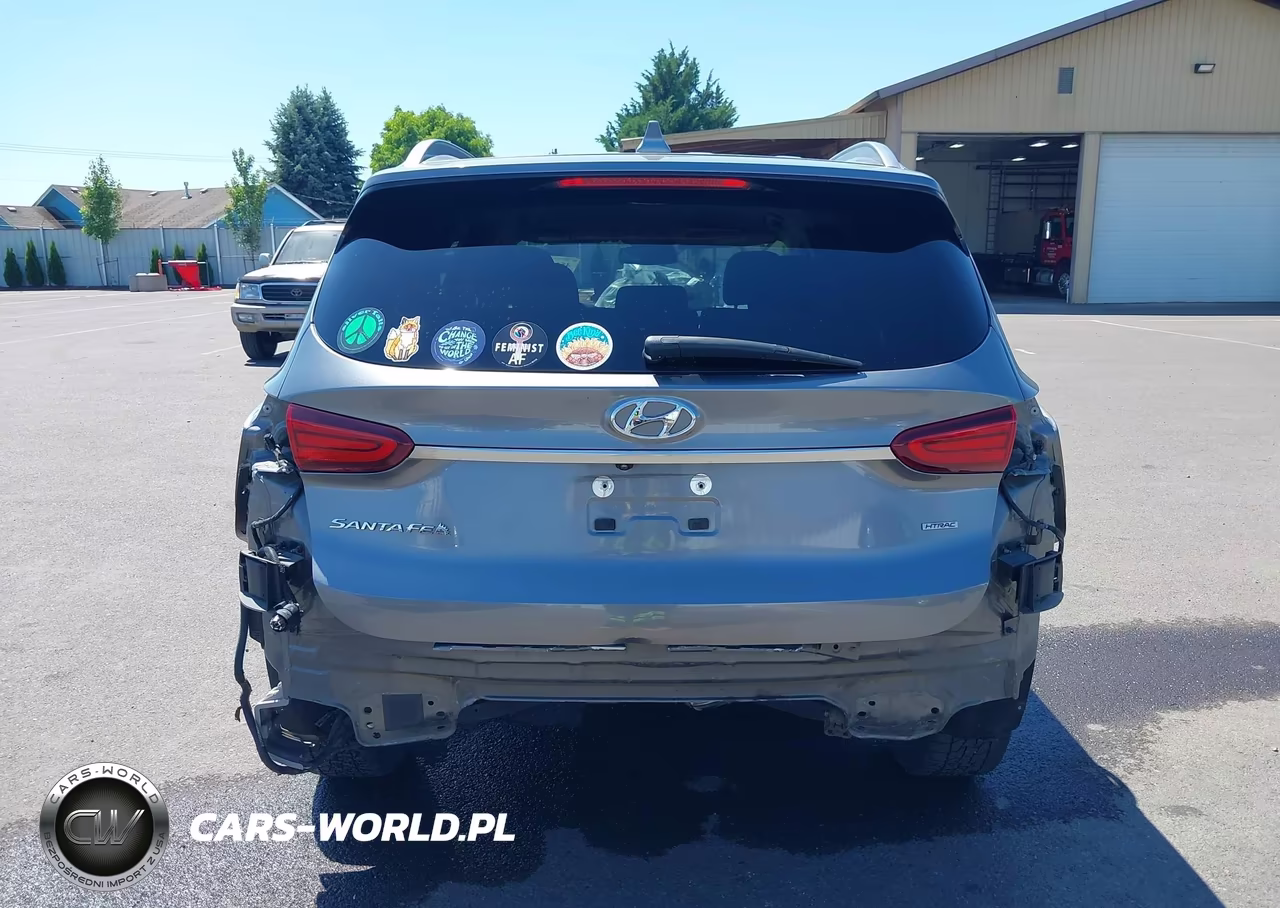 2020 Hyundai Santa Fe Sel VIN:5NMS3CAD6LH146961 - 17