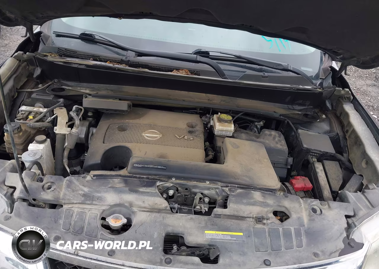 2016 Nissan Pathfinder Platinum VIN:5N1AR2MMXGC671425 - 10