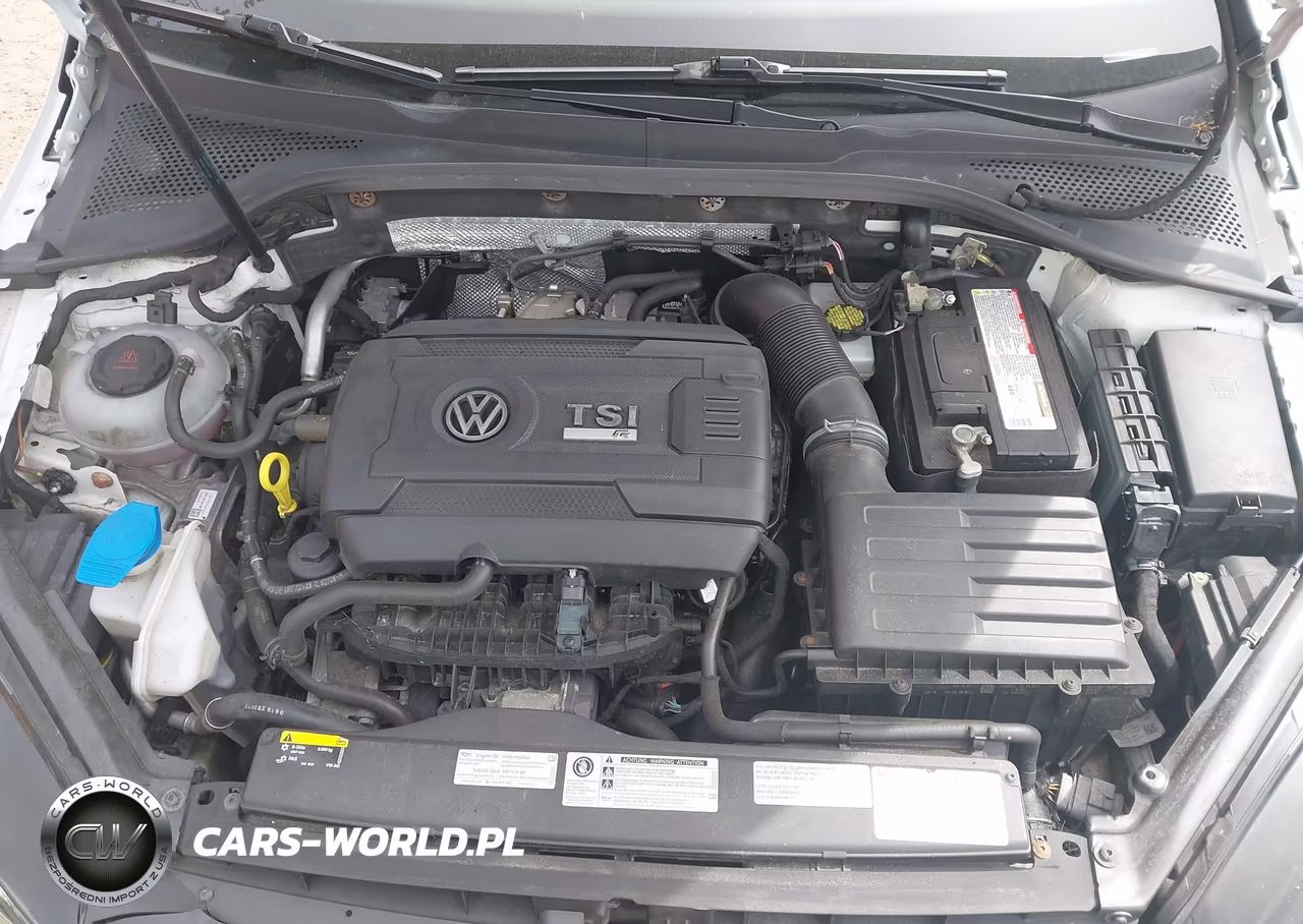 2019 Volkswagen Golf R 2.0T W-Dcc Navigation VIN:WVWVA7AU2KW226490 - 10