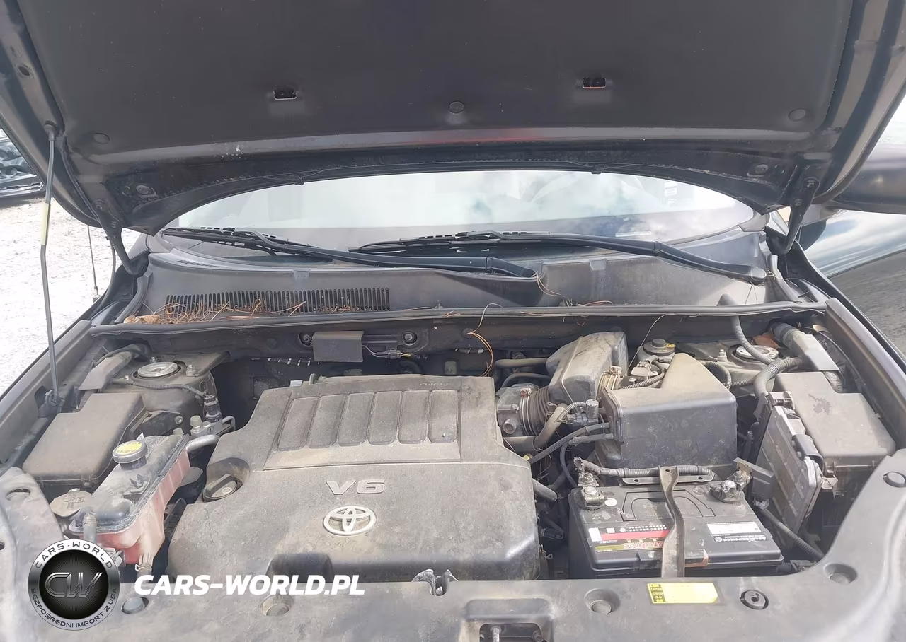 2006 Toyota Rav4 Base V6 VIN:JTMBK33V866009739 - 10