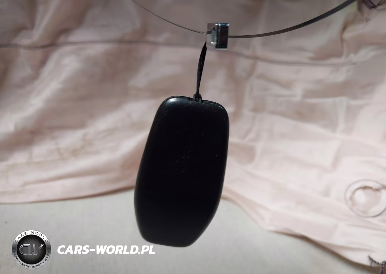 2024 Lucid Air Pure VIN:50EA1PGA4RA004788 - 11