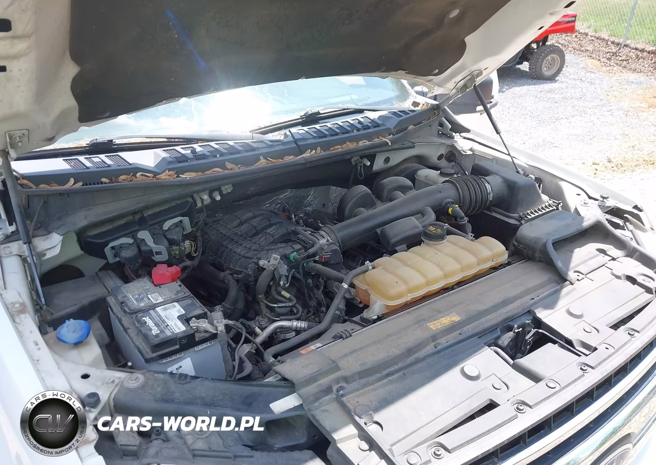 2019 Ford F-150 Xlt VIN:1FTEX1CB6KKD31645 - 10