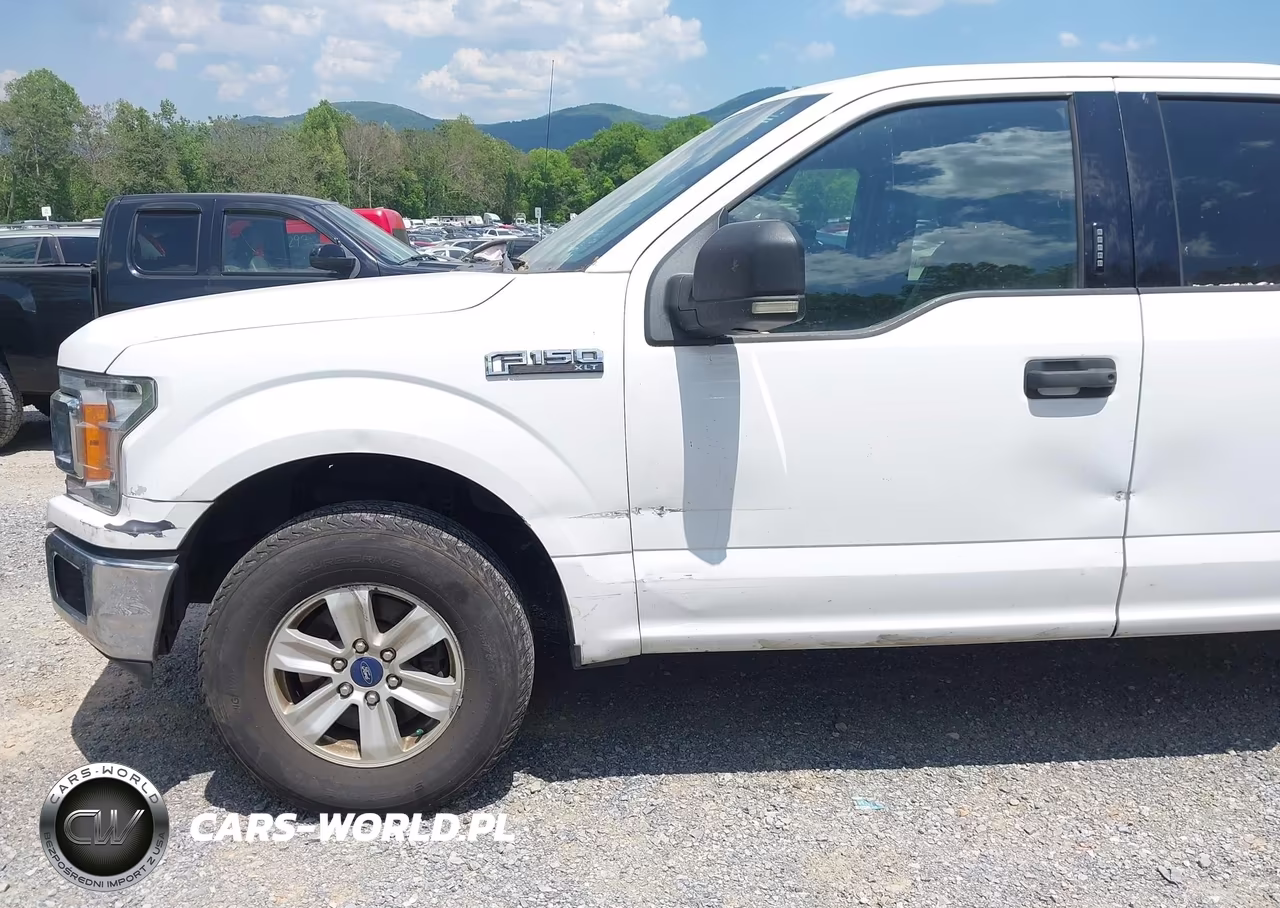 2019 Ford F-150 Xlt VIN:1FTEX1CB6KKD31645 - 12