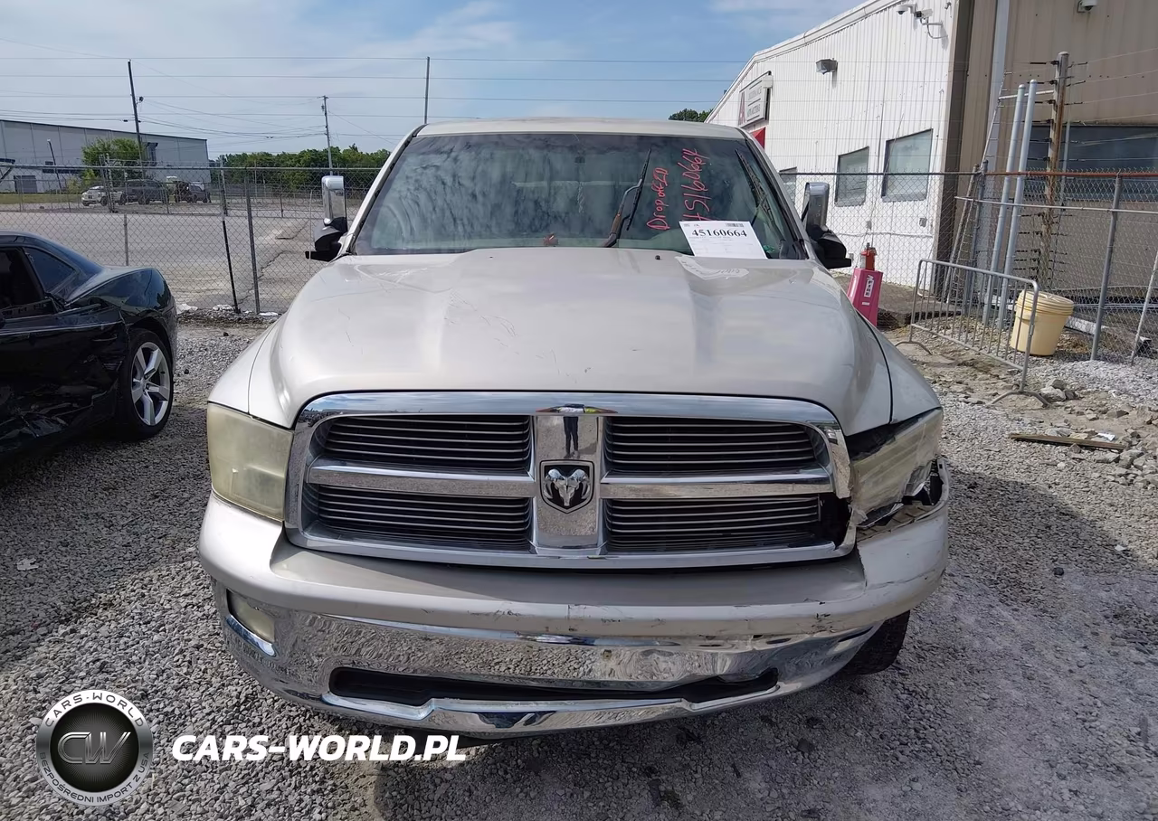 2010 Dodge Ram 1500 Slt-Sport-Trx VIN:1D7RB1GP3AS209500 - 12