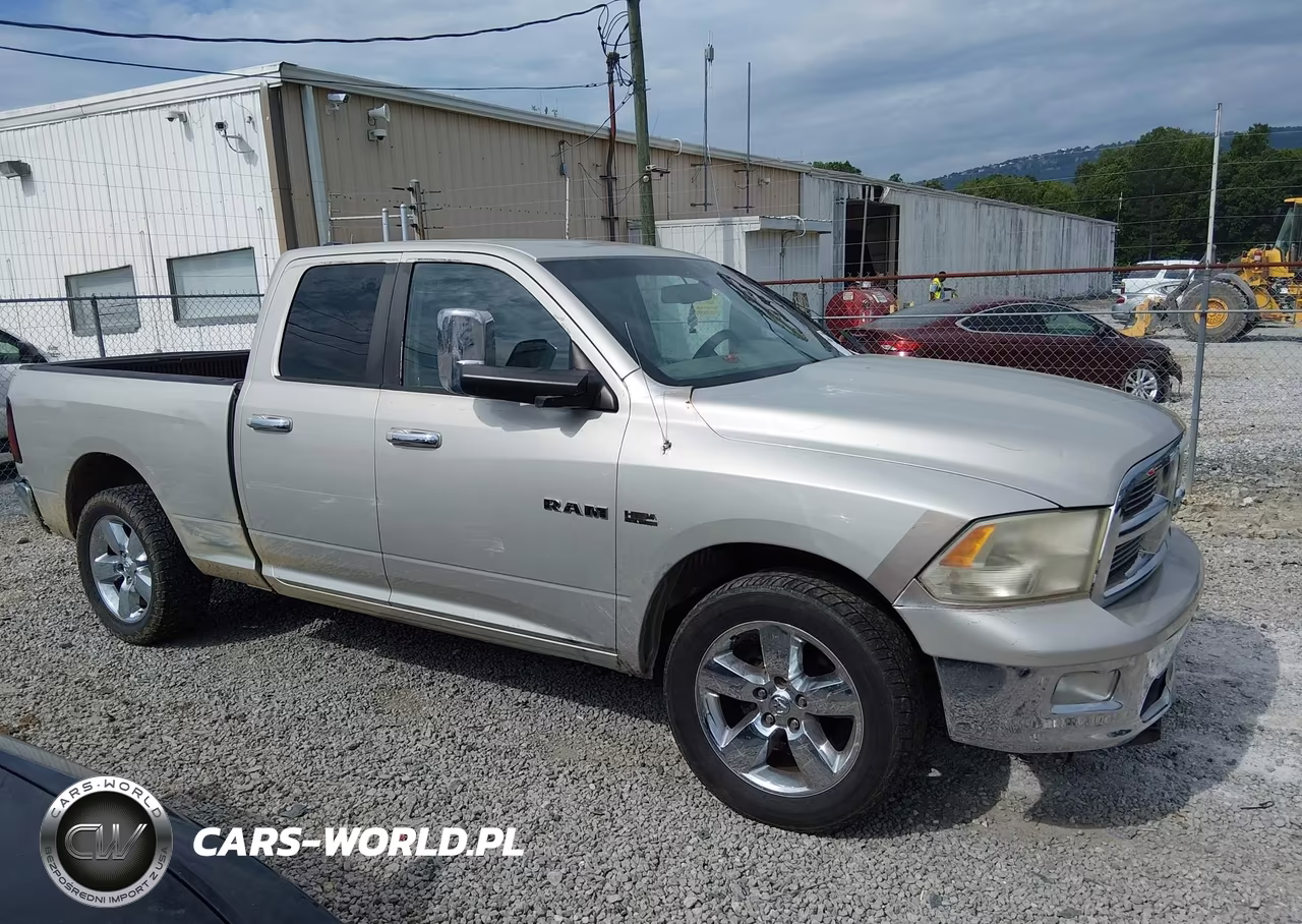 2010 Dodge Ram 1500 Slt-Sport-Trx VIN:1D7RB1GP3AS209500 - 13