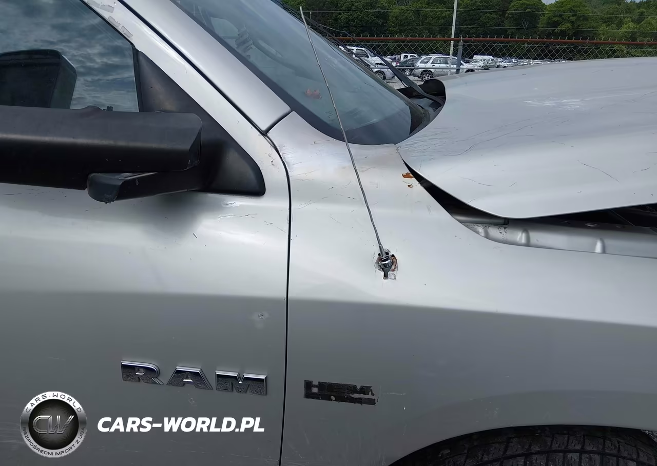 2010 Dodge Ram 1500 Slt-Sport-Trx VIN:1D7RB1GP3AS209500 - 19