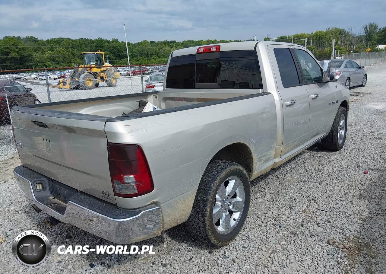 2010 Dodge Ram 1500 Slt-Sport-Trx VIN:1D7RB1GP3AS209500 - 4