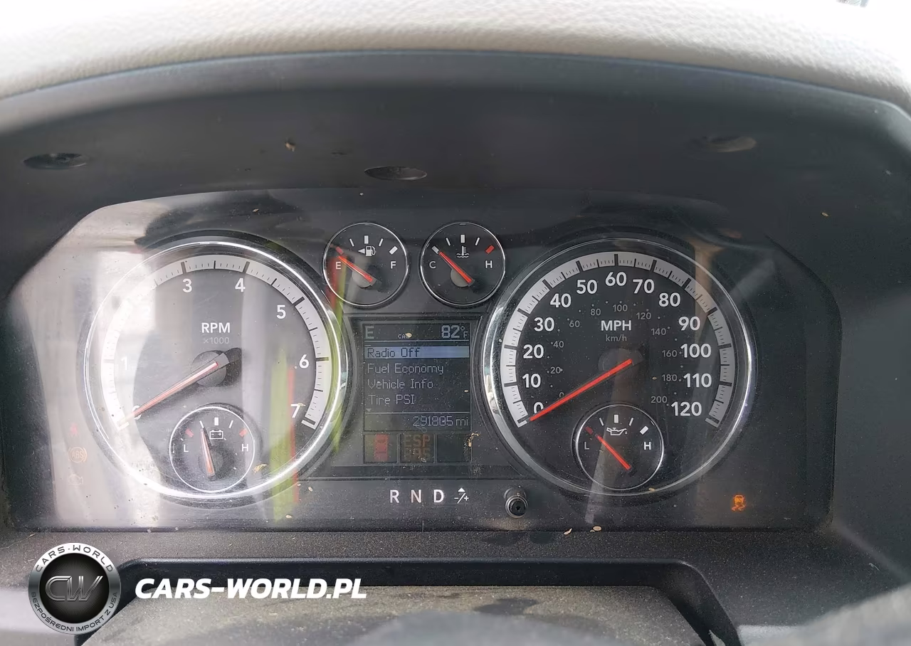 2010 Dodge Ram 1500 Slt-Sport-Trx VIN:1D7RB1GP3AS209500 - 7