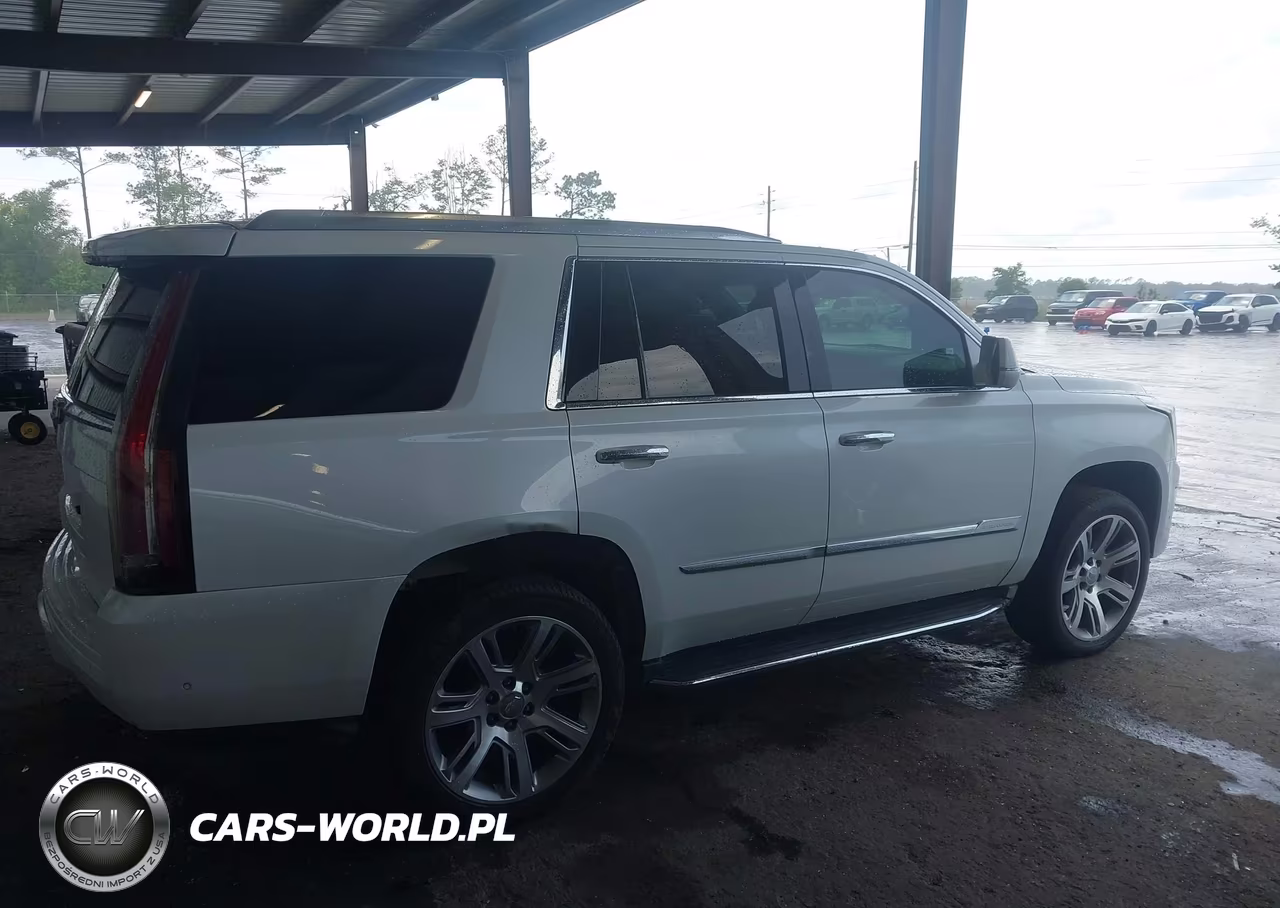 2017 Cadillac Escalade Luxury VIN:1GYS3BKJ7HR368436 - 13