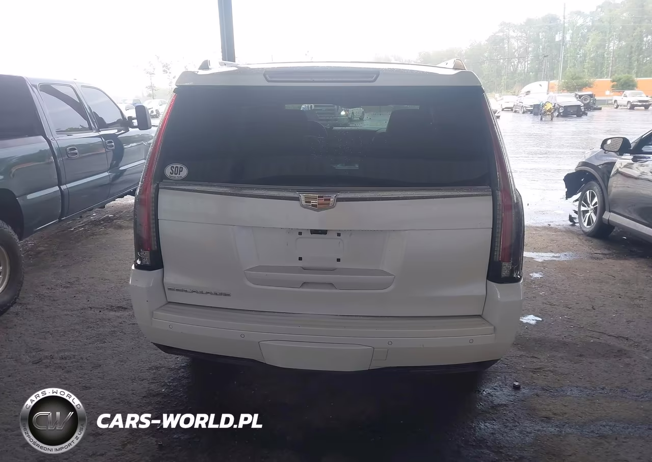 2017 Cadillac Escalade Luxury VIN:1GYS3BKJ7HR368436 - 16