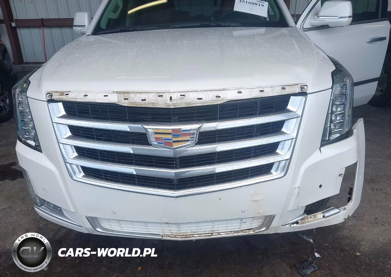 2017 Cadillac Escalade Luxury VIN:1GYS3BKJ7HR368436 - 17