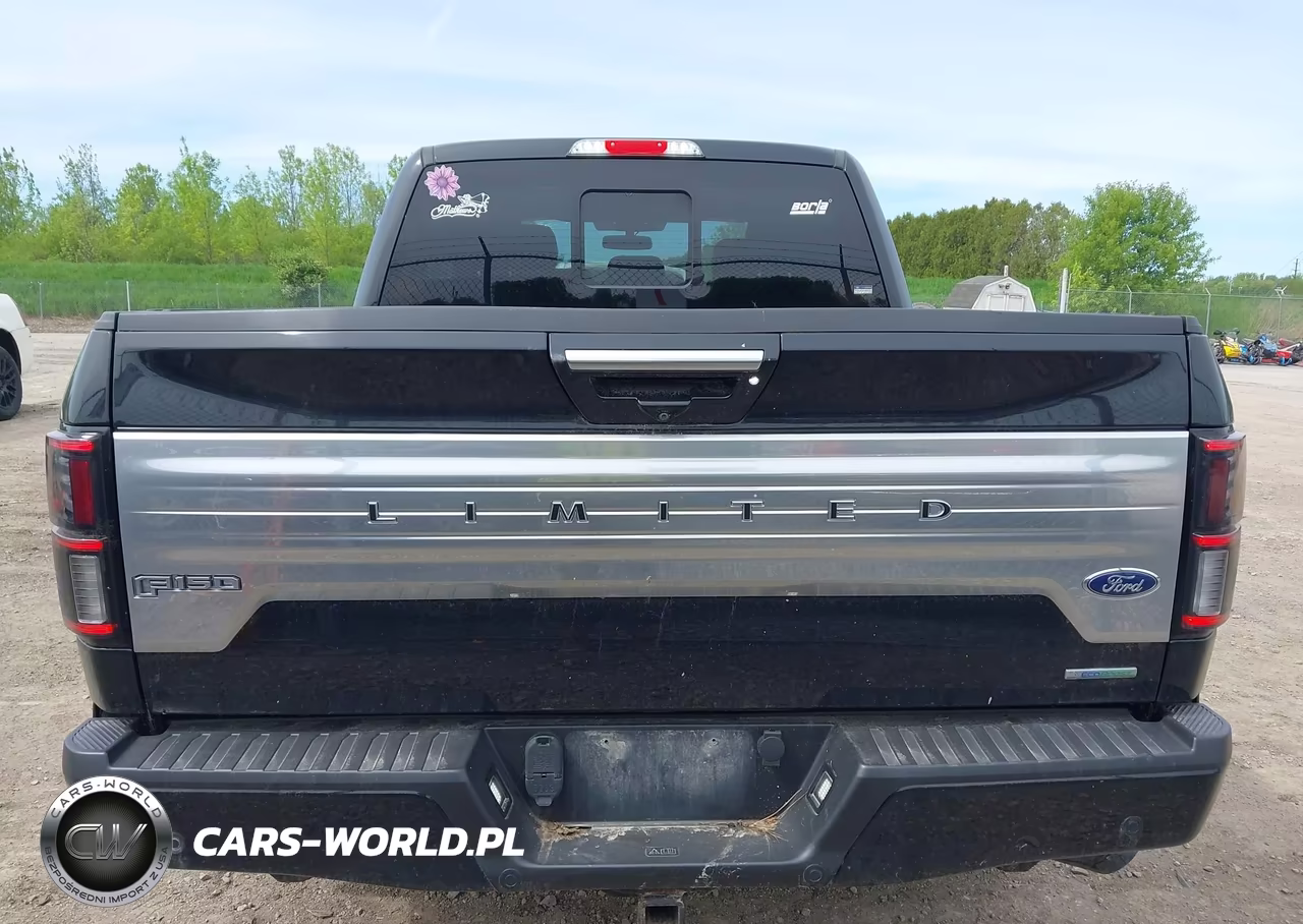 2018 Ford F-150 Limited VIN:1FTEW1EG5JFB47963 - 17