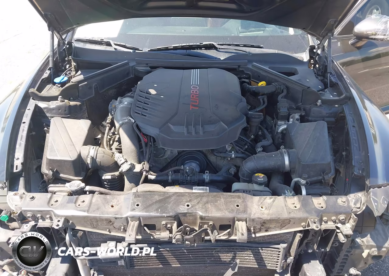2018 Kia Stinger Gt2 VIN:KNAE55LC7J6013060 - 10