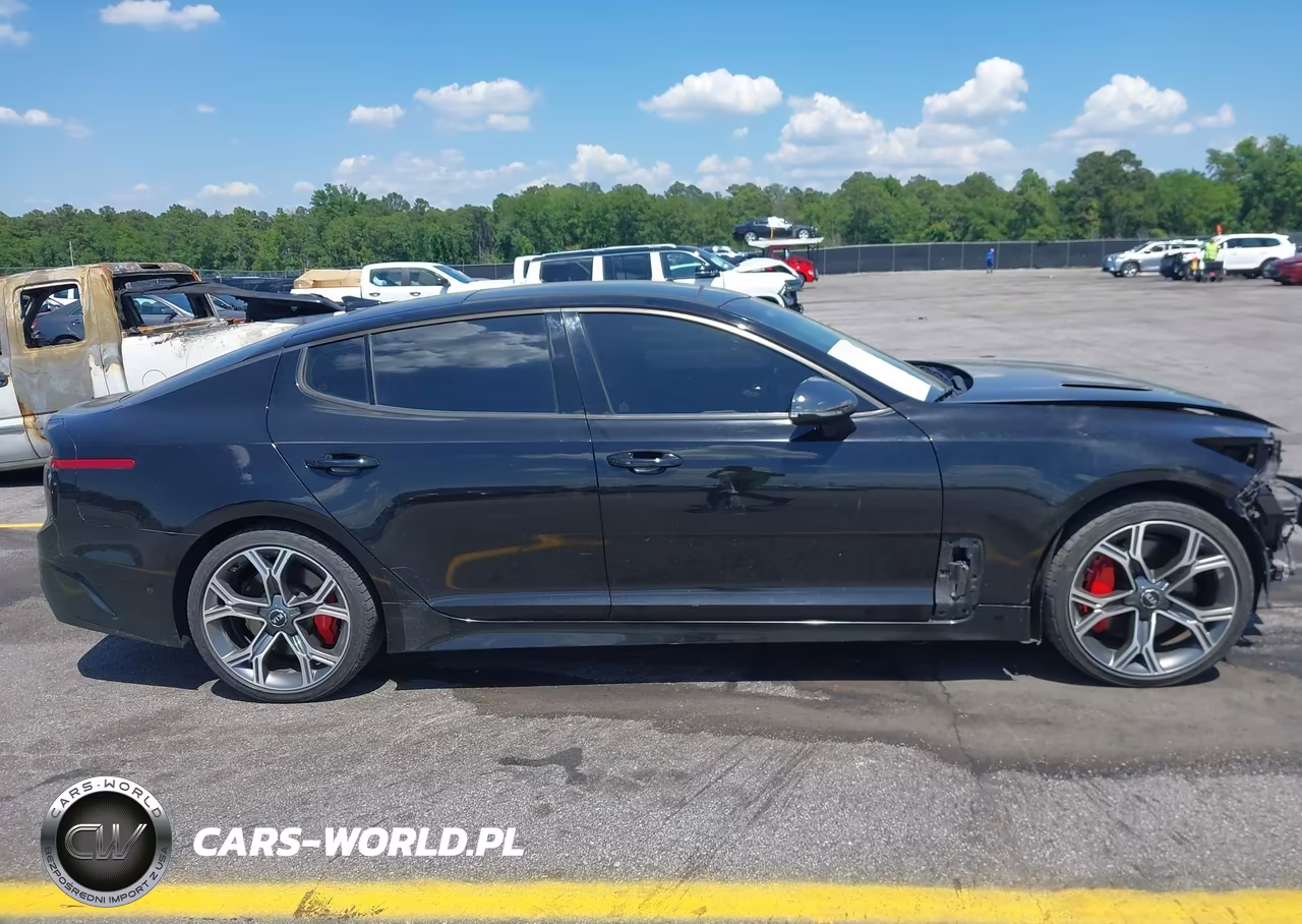 2018 Kia Stinger Gt2 VIN:KNAE55LC7J6013060 - 13