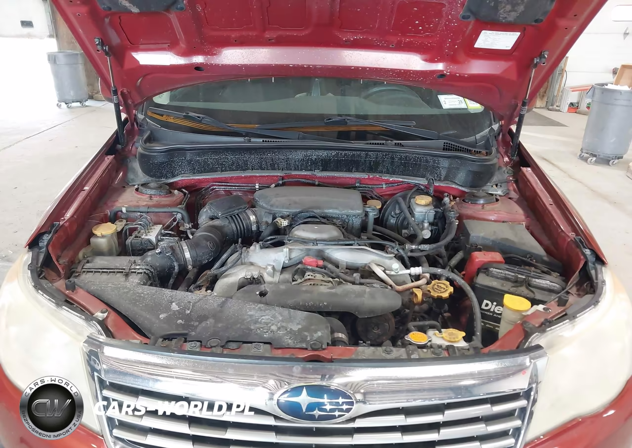 2010 Subaru Forester 2.5X Premium VIN:JF2SH6CC9AG715525 - 10
