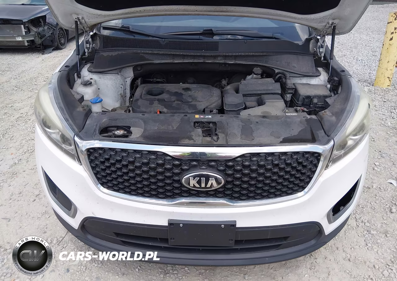 2016 Kia Sorento 2.4L Lx VIN:5XYPGDA32GG040157 - 10