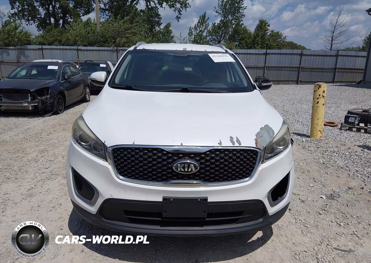 2016 Kia Sorento 2.4L Lx VIN:5XYPGDA32GG040157 - 12
