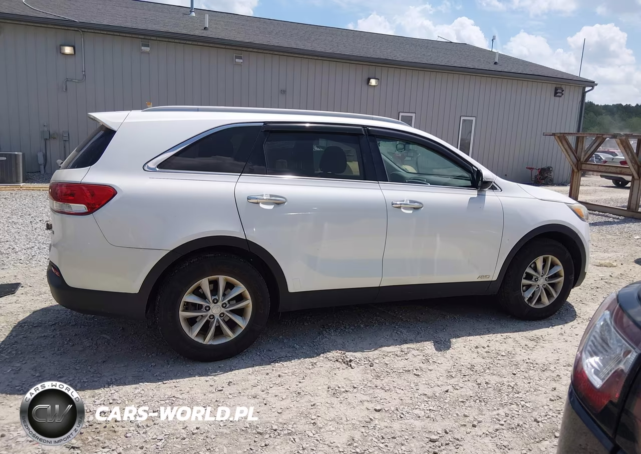2016 Kia Sorento 2.4L Lx VIN:5XYPGDA32GG040157 - 13