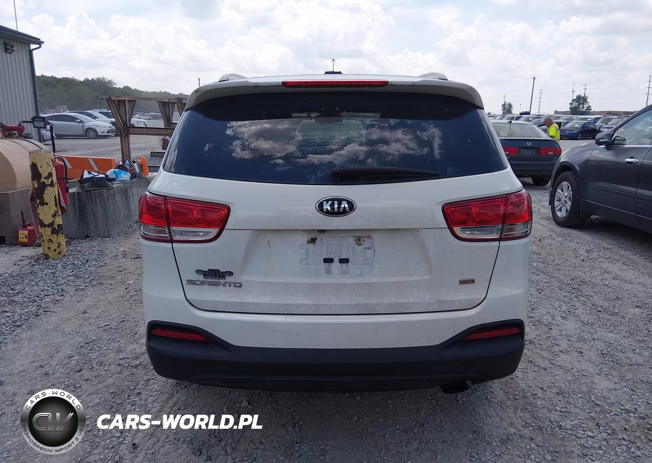 2016 Kia Sorento 2.4L Lx VIN:5XYPGDA32GG040157 - 16
