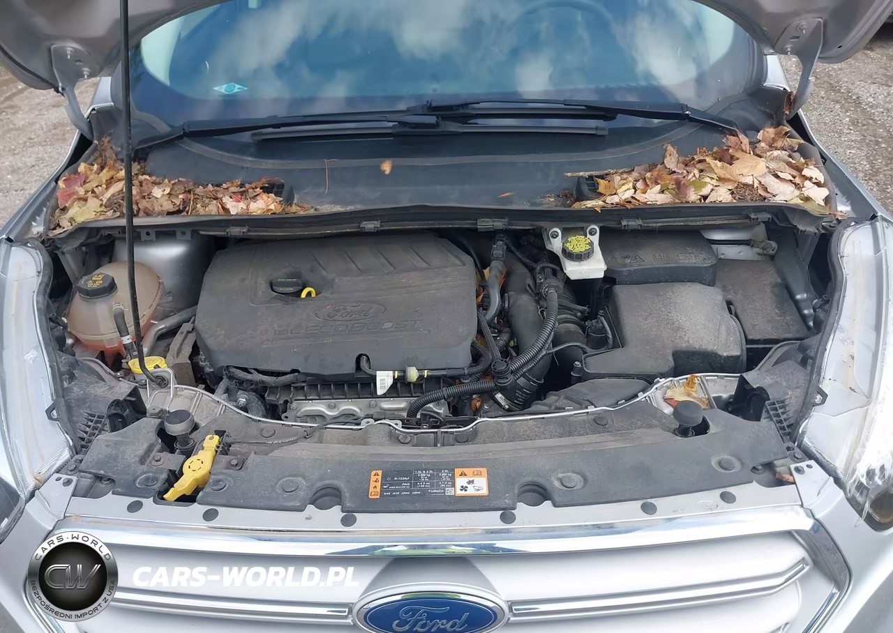 2018 Ford Escape Se VIN:1FMCU0GD0JUB51615 - 10