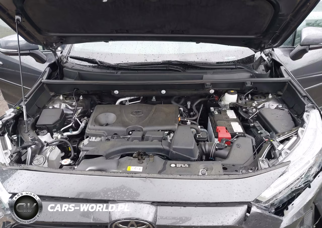 2024 Toyota Rav4 Xle VIN:2T3P1RFV3RC477275 - 10