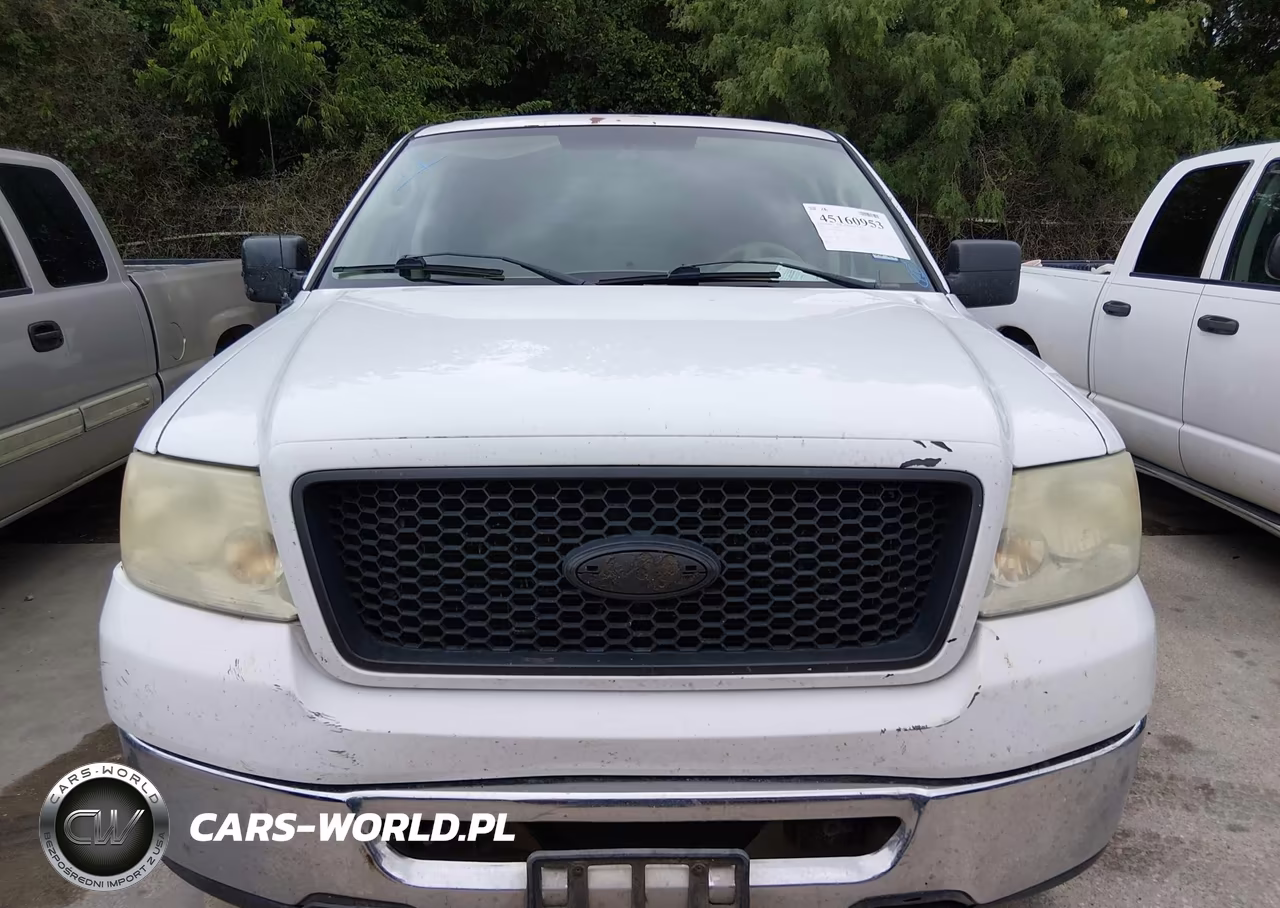 2006 Ford F-150 Xlt VIN:1FTRW12W06FB39516 - 12