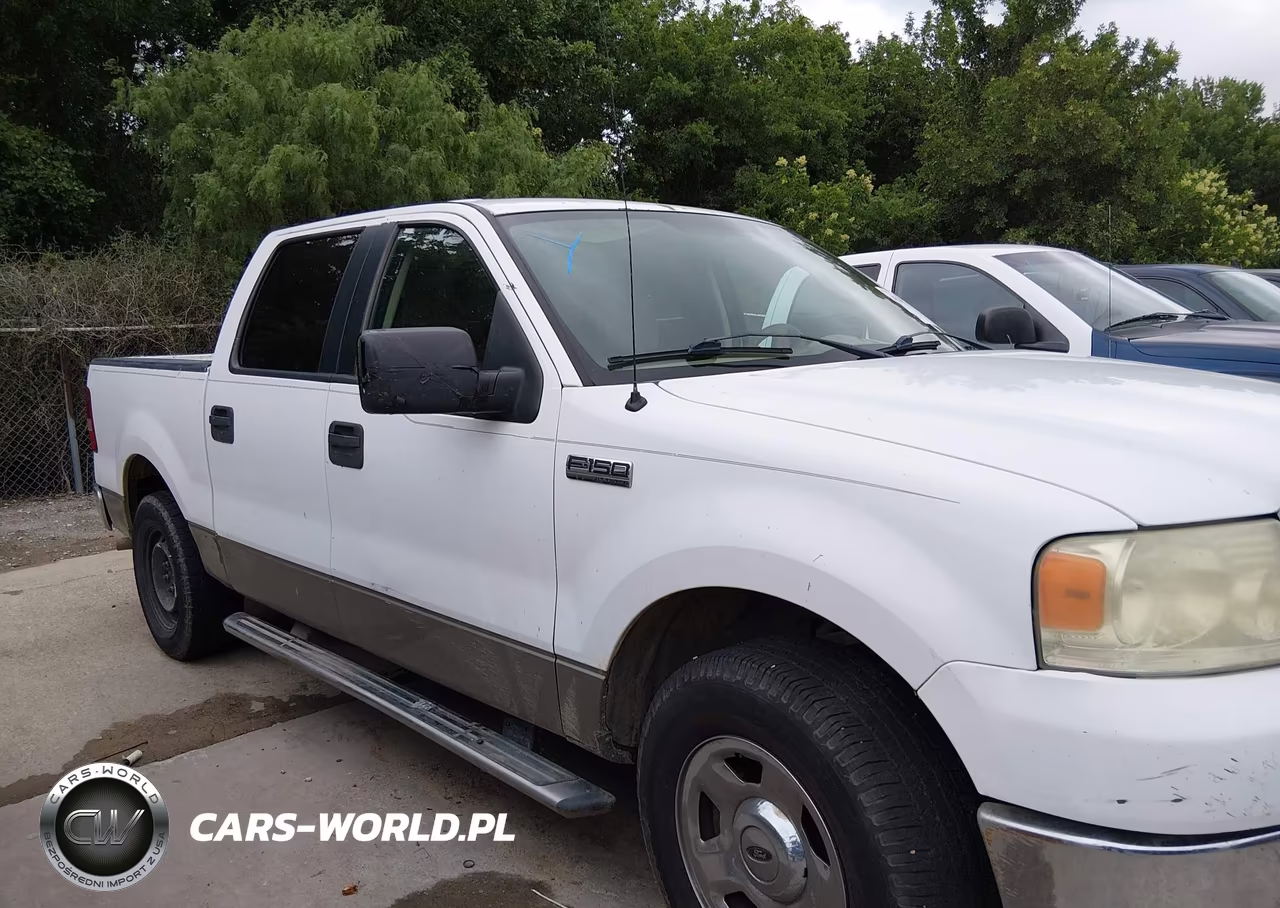 2006 Ford F-150 Xlt VIN:1FTRW12W06FB39516 - 13