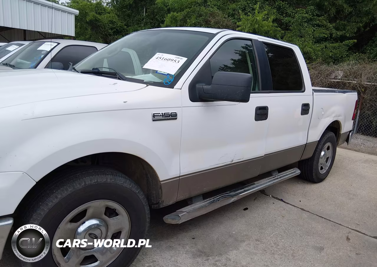 2006 Ford F-150 Xlt VIN:1FTRW12W06FB39516 - 6