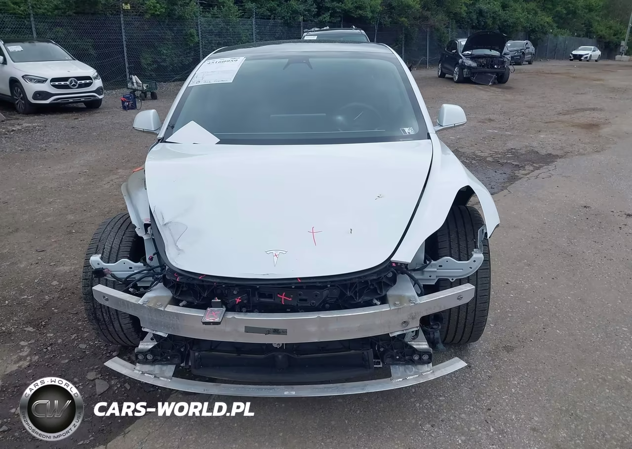 2020 Tesla Model 3 Standard Range Plus Rear-Wheel Drive-Standard Range Rear-Wheel Drive VIN:5YJ3E1EA0LF783641 - 13