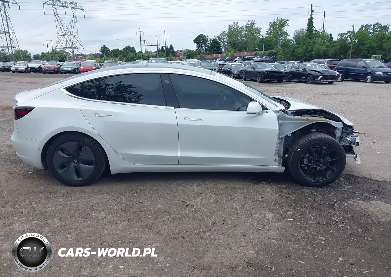 2020 Tesla Model 3 Standard Range Plus Rear-Wheel Drive-Standard Range Rear-Wheel Drive VIN:5YJ3E1EA0LF783641 - 14