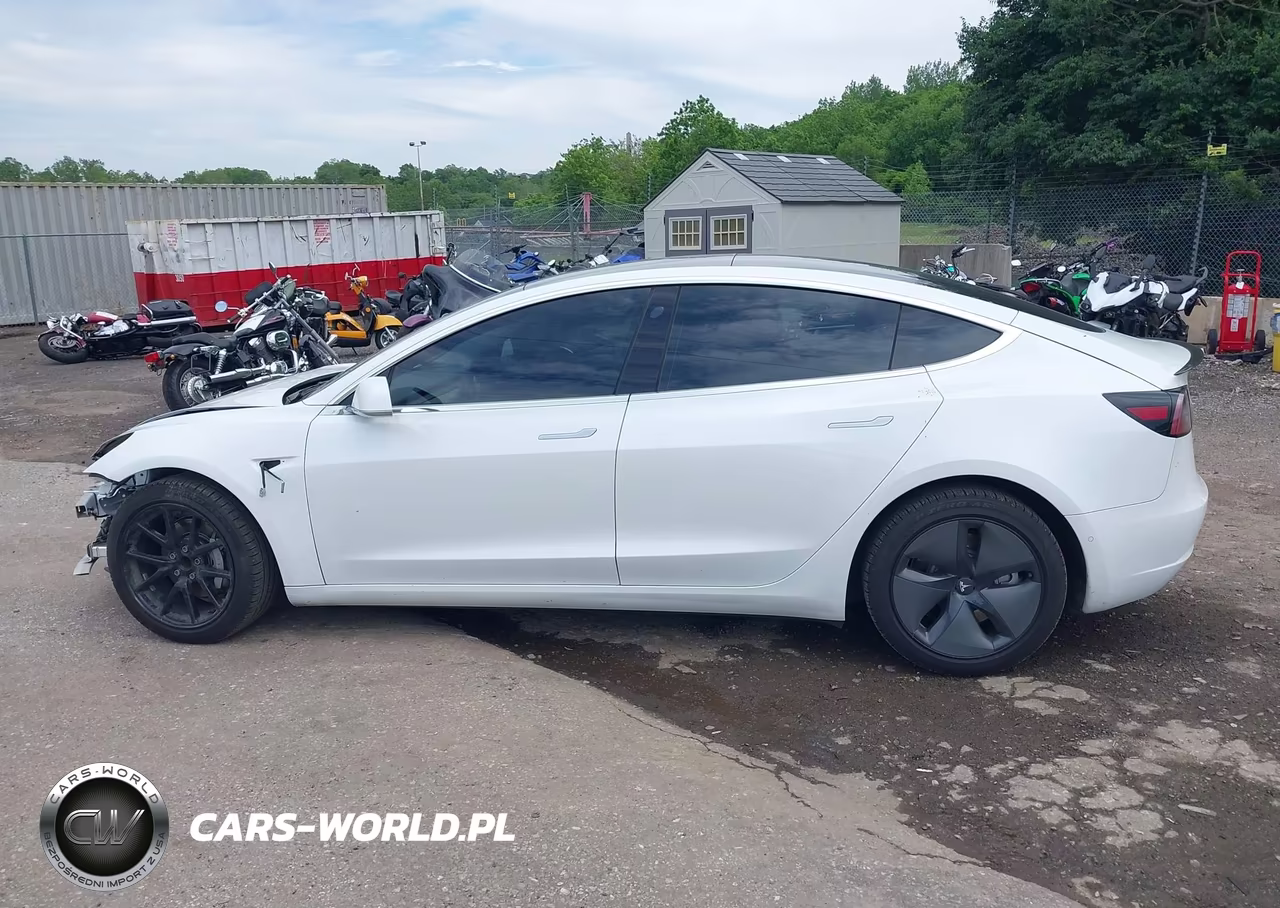 2020 Tesla Model 3 Standard Range Plus Rear-Wheel Drive-Standard Range Rear-Wheel Drive VIN:5YJ3E1EA0LF783641 - 15