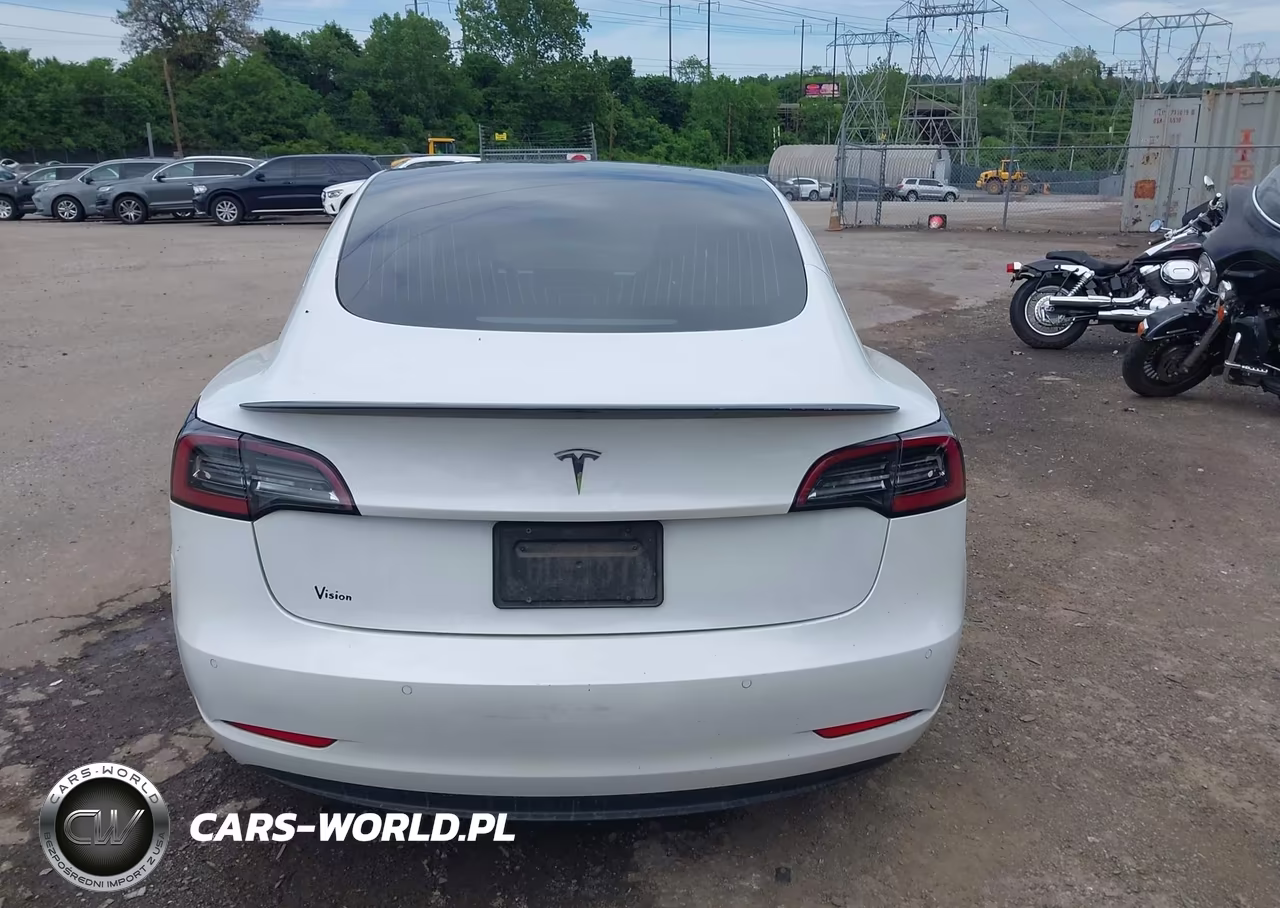 2020 Tesla Model 3 Standard Range Plus Rear-Wheel Drive-Standard Range Rear-Wheel Drive VIN:5YJ3E1EA0LF783641 - 17