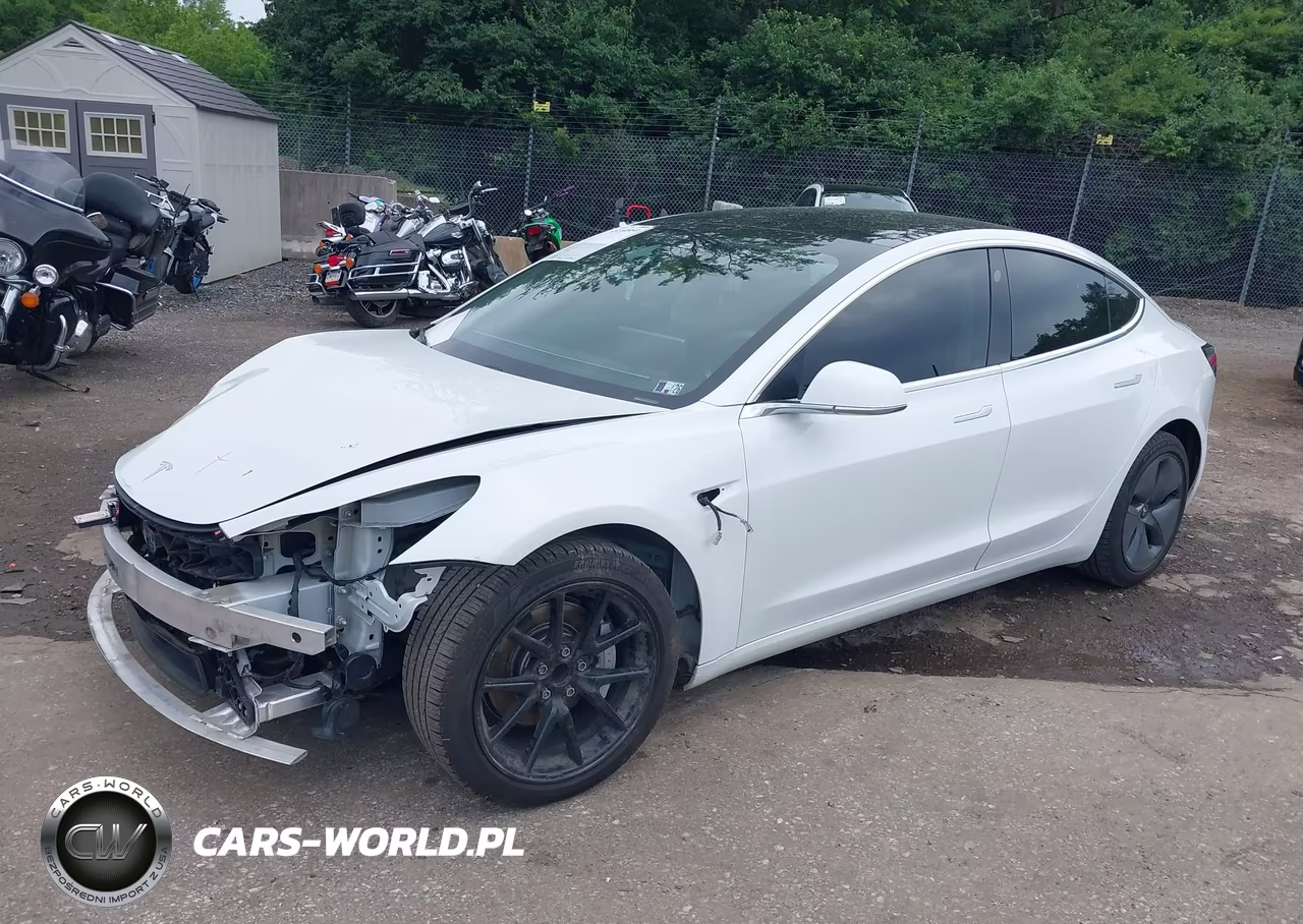 2020 Tesla Model 3 Standard Range Plus Rear-Wheel Drive-Standard Range Rear-Wheel Drive VIN:5YJ3E1EA0LF783641 - 2