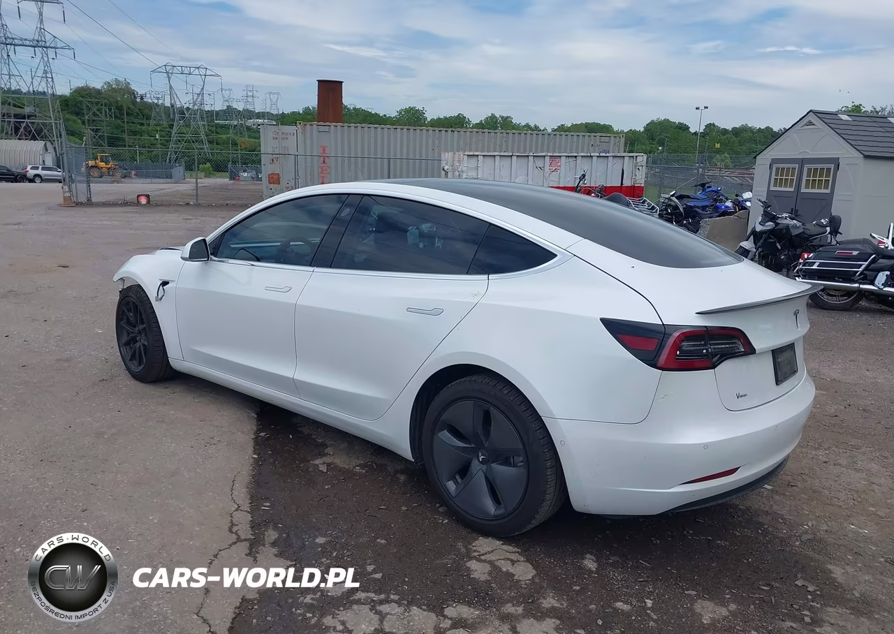 2020 Tesla Model 3 Standard Range Plus Rear-Wheel Drive-Standard Range Rear-Wheel Drive VIN:5YJ3E1EA0LF783641 - 3