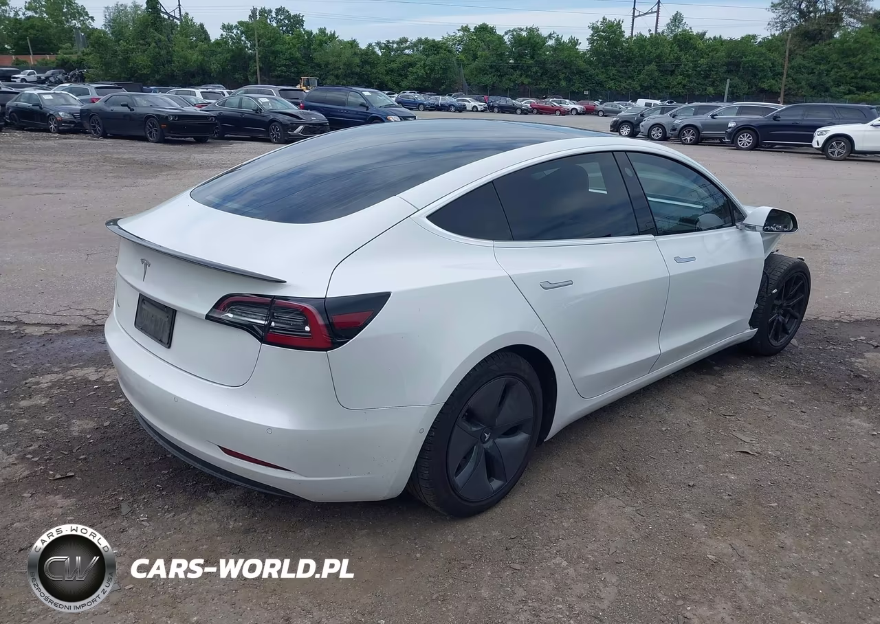 2020 Tesla Model 3 Standard Range Plus Rear-Wheel Drive-Standard Range Rear-Wheel Drive VIN:5YJ3E1EA0LF783641 - 4