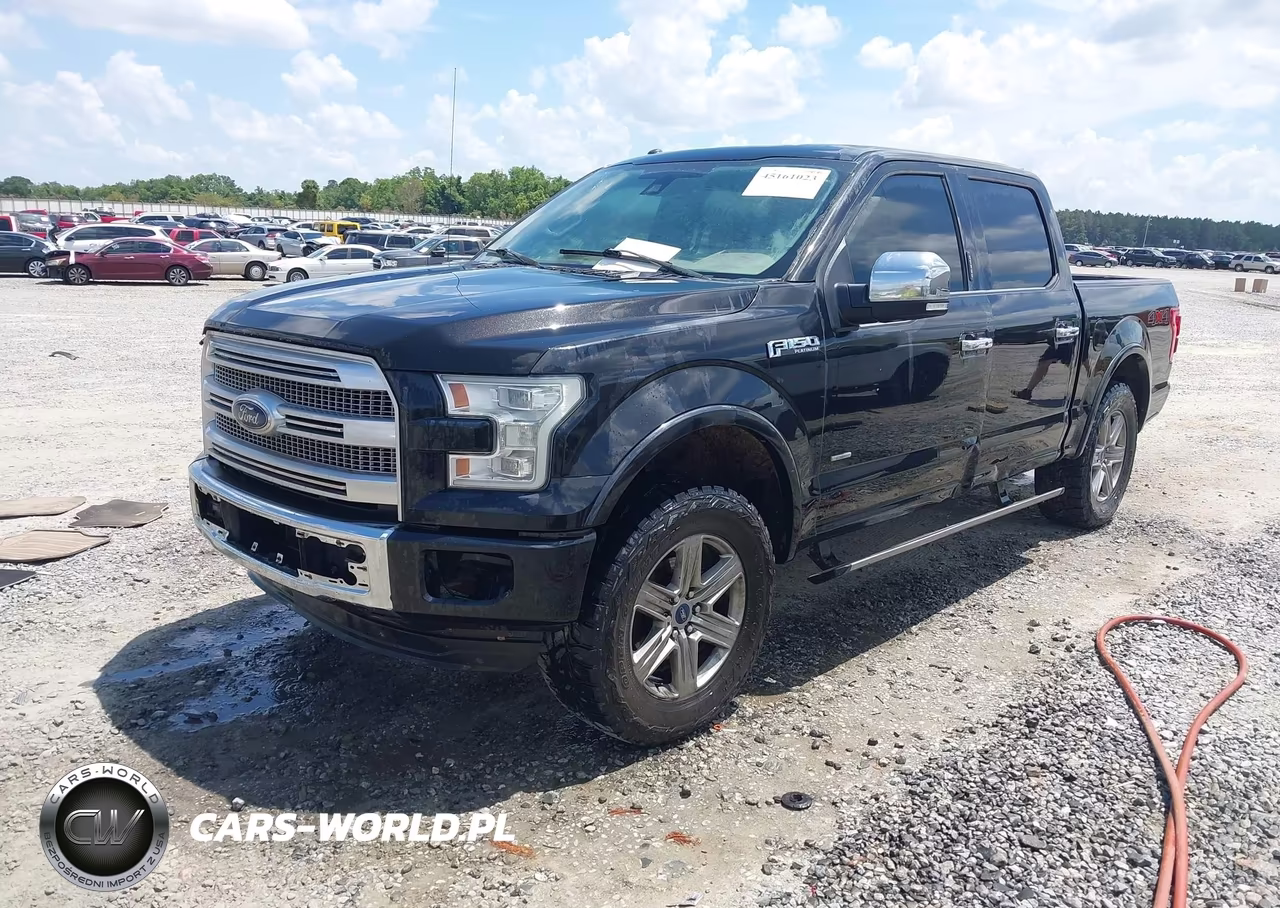 2015 Ford F-150 Platinum VIN:1FTEW1EG5FFC84621 - 2