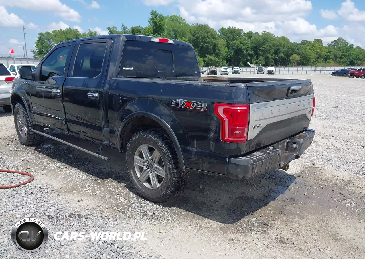 2015 Ford F-150 Platinum VIN:1FTEW1EG5FFC84621 - 3